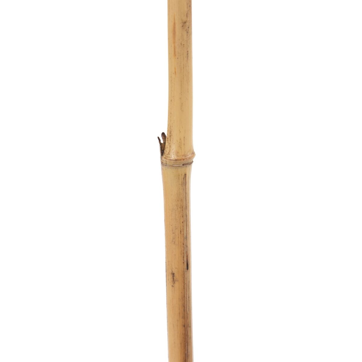 Branch Beige Bamboo Natural Fibre Flower 8 x 8 x 156 cm